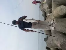Threadfin salmon