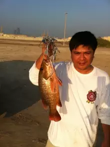 Abu Dhabi Fishing