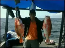 muara sebuhur