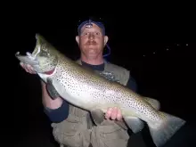 12lb 8 oz Brown trout