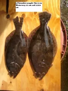 10 minute Flounder