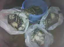 Nov. 08-2012 Crabbing @ ?_____- 8:00pm