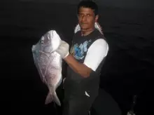 fishing