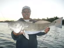 26" Big Red