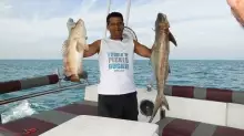 cobia and hamour