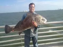 Big Nasty!