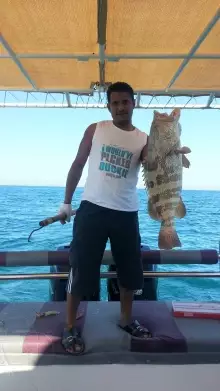 fishing in abu dhabi-hammour