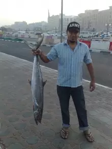 another kingfish