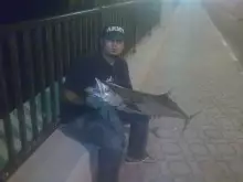 kingfish caught in dubai