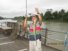 Fresh water Eel in Philippines