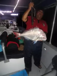 deep sea fishing sharjah call us 0509665544