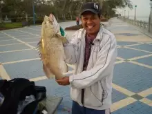 Abu Dhabi Corniche Fishing (Feb. 01, 2013)