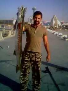 catching barracuda in abu dhabi