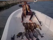 spearfishing big size grouper