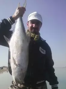 catching queen fish in abu dhabi