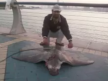 catch of the day