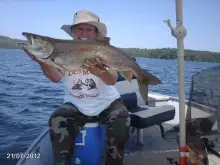 out for lake trout