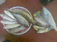 Fishing in Sharjah