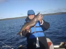 small lake trout