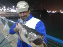 new catch