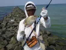 SMALL FISH BIG STRIKE