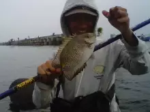 INDONESIA GARONGER