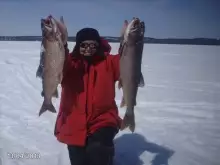 Northern ontario , lake trout