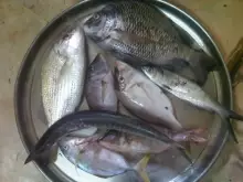 Deira Dubai 12-04-13