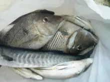 Deira Dubai on 15-4-13