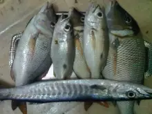 Deira Dubai on 15-4-13