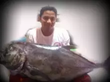 26kgs GT