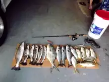 Jetty Fishing