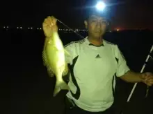 May 30 2013 -Fishing at Jubail,KSA