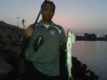 June 20 2013 fishing at Jubail,KSA