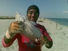 al aryum fishing