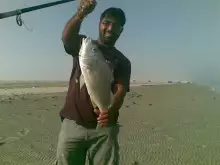 al aryum fishing