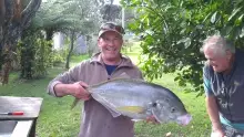 Tryphena Trev