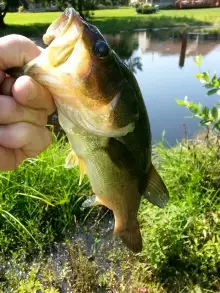 ninja golf course fishing