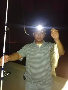 Night Fishing at Jubail,KSA-Sept 27, 2013