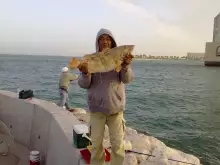 early morning catch in corniche,doha
