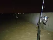 Night Fishing at Jubail, KSA-Oct 25 2013