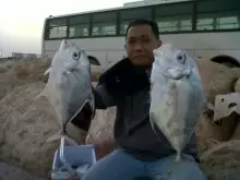 Fishing at Jubail, KSA