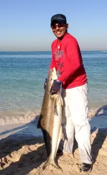 56lb Cobia Arm twisting fight