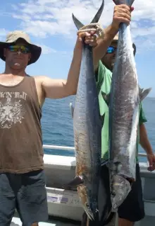 Ningaloo Spaniards