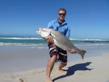 Big mulloway off the beach