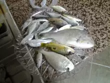 fishing with my dad :D