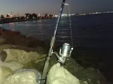 Night fishing at Jubail-Dec 26 2013