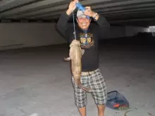 Fishing Under the Bridge 03 January 2014)