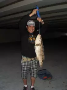 Fishing Under the Bridge (03 January 2014)