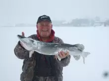 nice pike